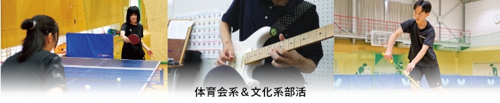 体育会系＆文化系